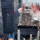 IMG_20150320_093012233